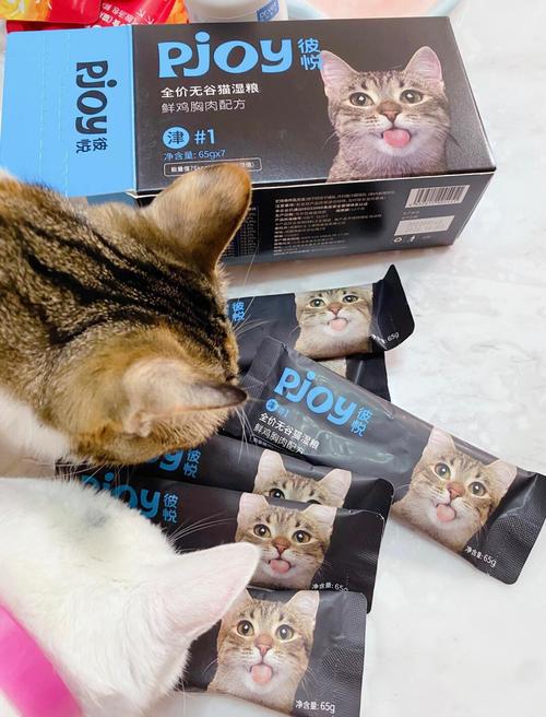 湿猫粮是什么意思