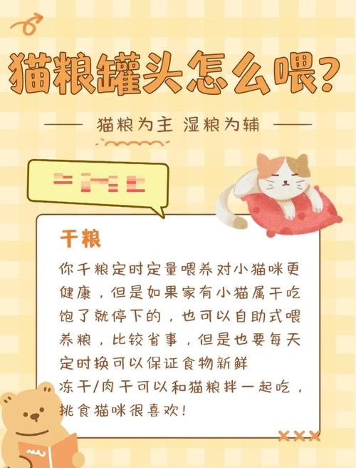 猫湿粮怎么做