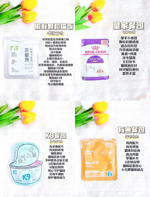 干粮成瘾猫咪转换成纯湿粮喂养指南