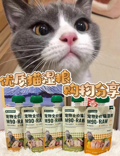 如何自制猫咪湿粮?
