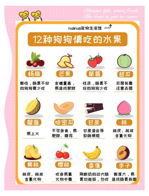 能喂狗和不能喂狗的水果!