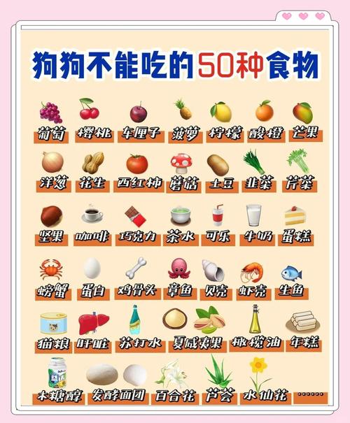 狗狗不能吃的食物清单合集
