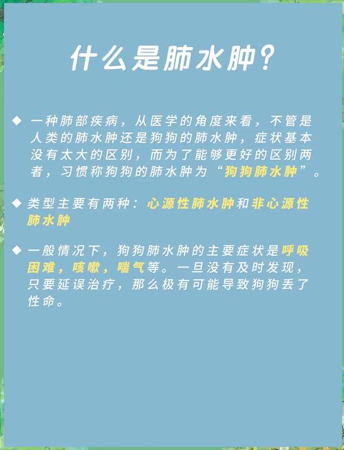 狗肺积水怎么治疗方法