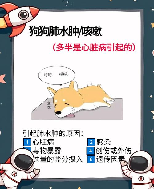 狗狗肺部为什么会积水呢