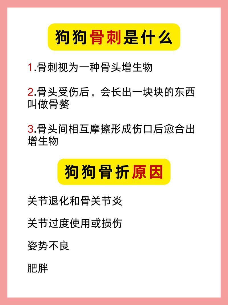 求救:我家狗狗骨质增生很疼怎么办?