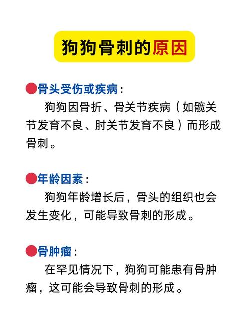 求助,狗狗得骨刺了,怎么办