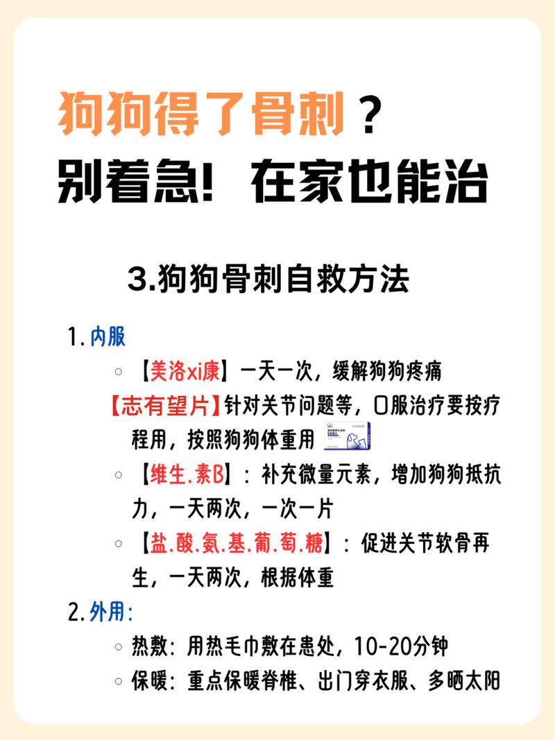 狗狗生骨刺什么症状