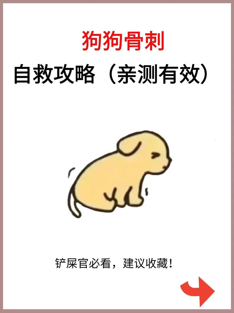 狗狗骨质增生的症状