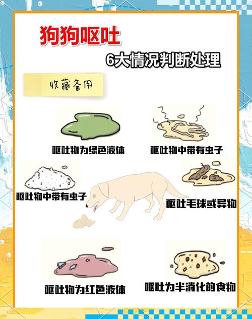 狗狗驱虫后可能会出现呕吐拉稀的情况,该如何处理?