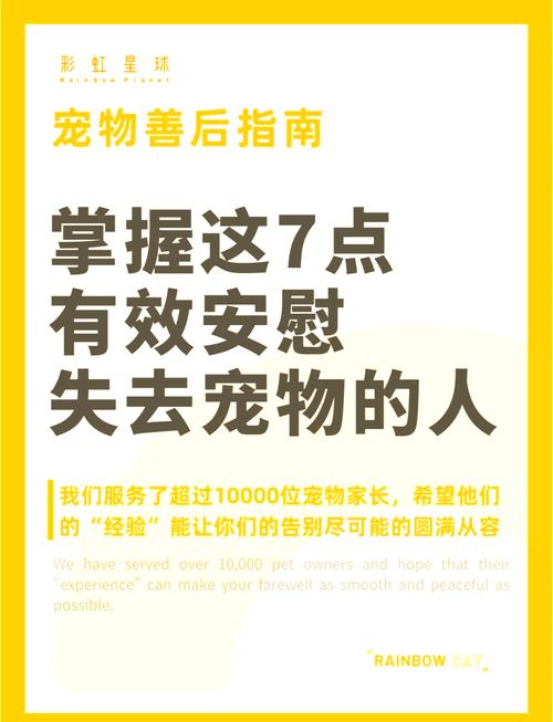 失去狗狗安慰的经典句子