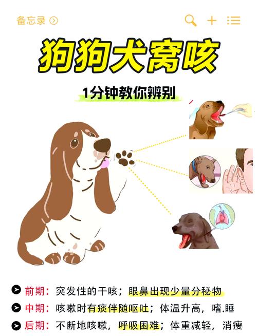 狗感冒咳嗽嗓子有痰吃什么药好