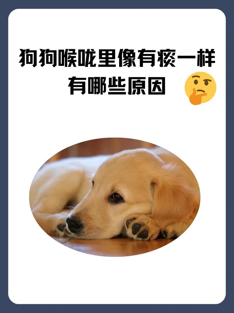 狗狗喉咙里会发出,像人有痰的声音,要怎么办?