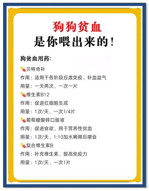 狗狗贫血吃什么