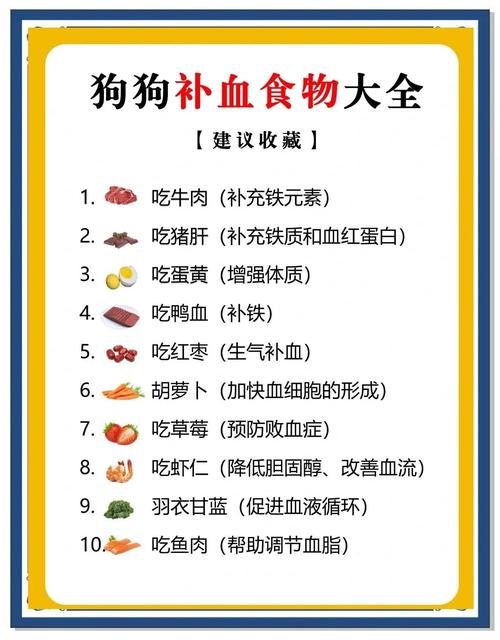狗狗贫血吃什么药