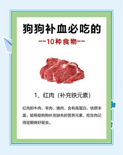 狗狗贫血吃什么补血最快