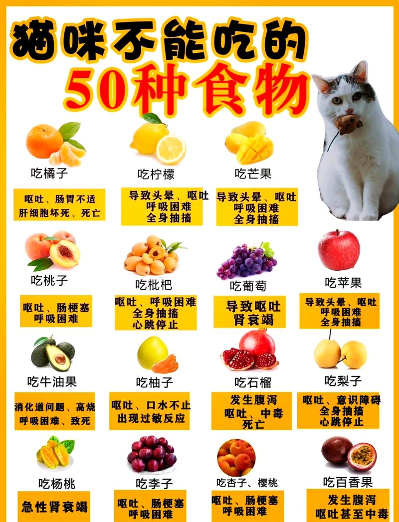 小猫拉肚子吃什么药
