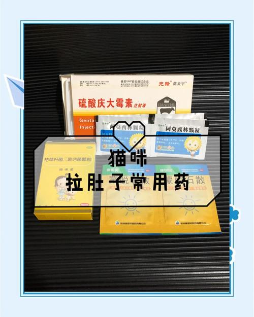 小猫拉稀吃什么药