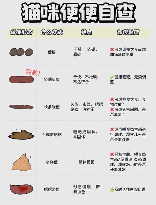 母猫拉肚子吃什么药