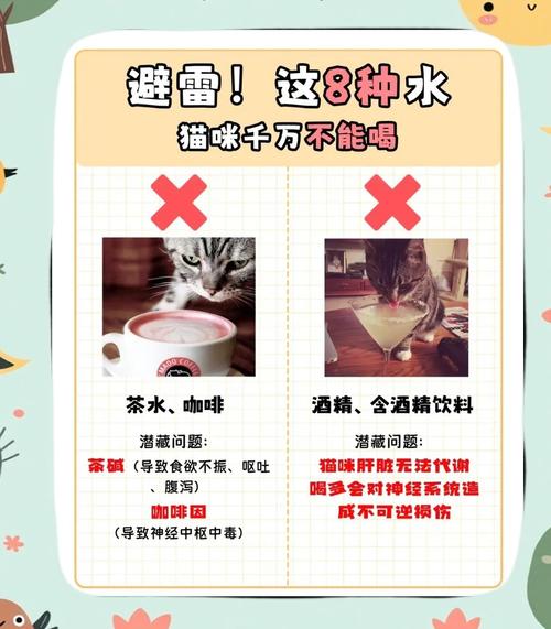 猫咪喝了几口茶水要紧吗