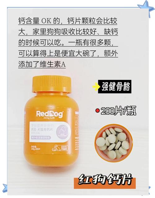 狗狗一天之中什么时候是吃钙片的最佳时间?