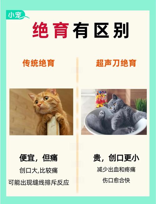 猫咪到底是绝育好还是不绝育好
