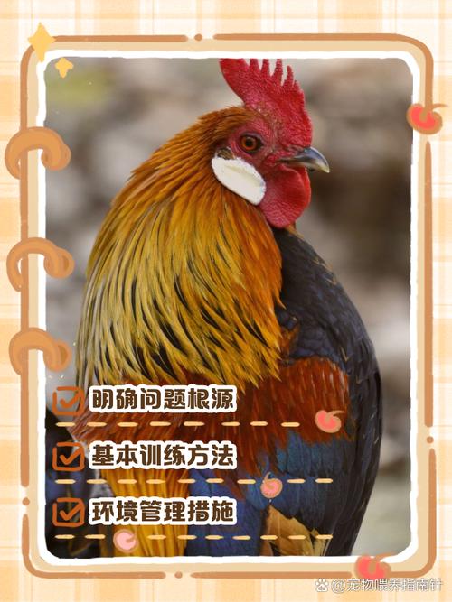 狗咬鸡有什么办法?