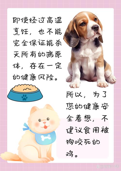 怎么样可以让狗不咬鸡?