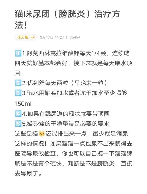 猫尿路感染会自愈吗