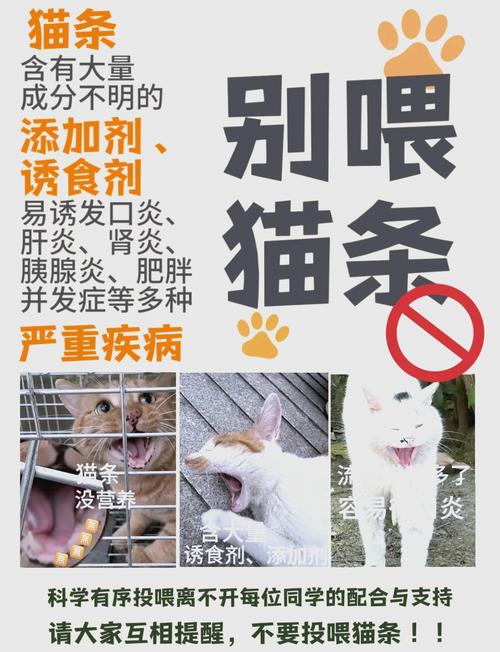一个月的猫咪能吃什么