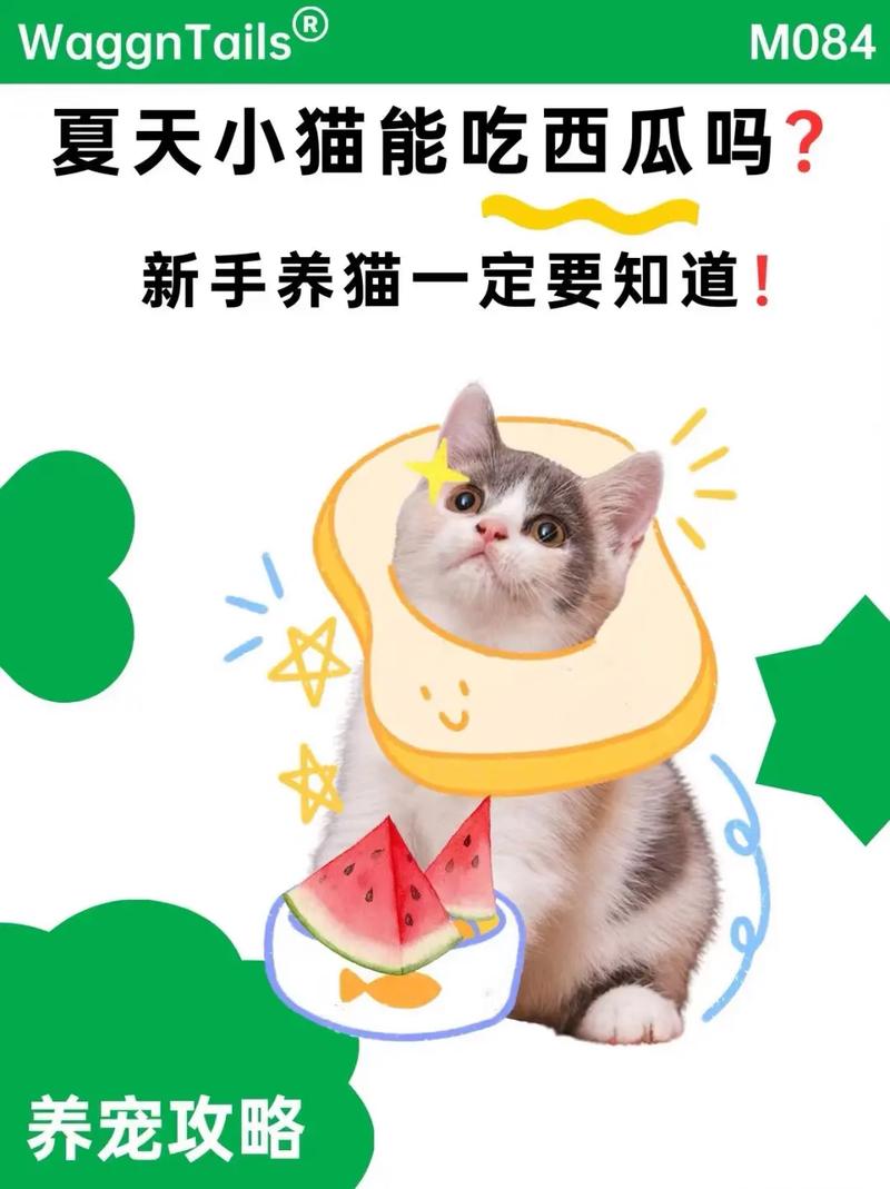 猫咪能吃的42种蔬果|附忌食自查