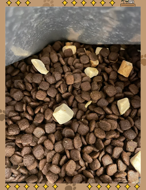 五个月比熊吃多少狗粮