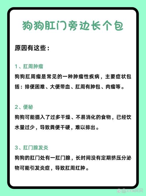 狗狗痔疮怎么治疗