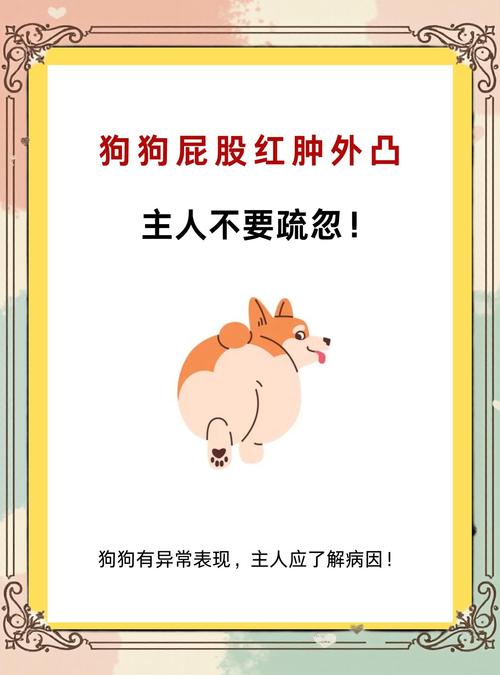 为什么狗狗没痔疮