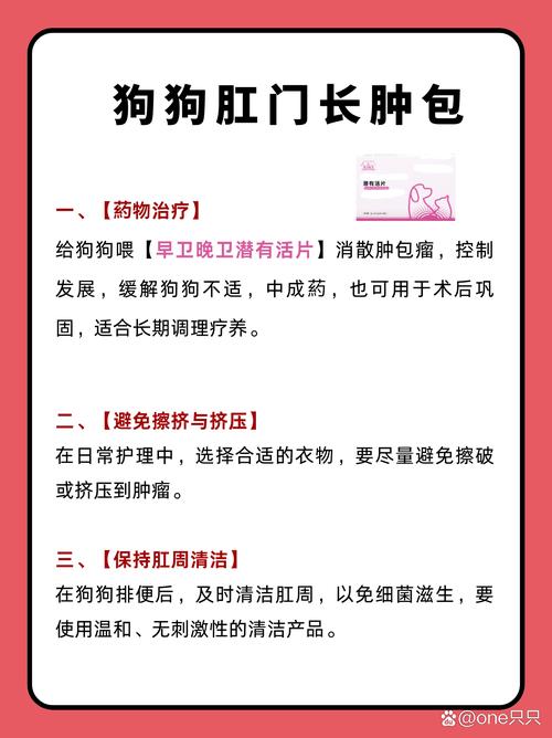 狗狗为什么得痔疮