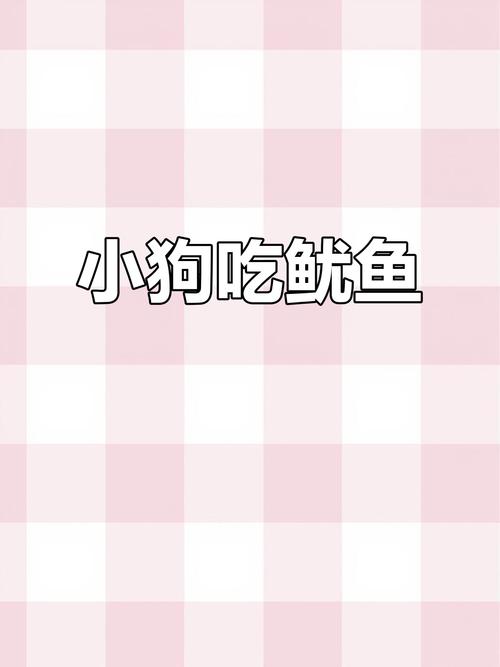 狗狗可以吃鱿鱼丝吗