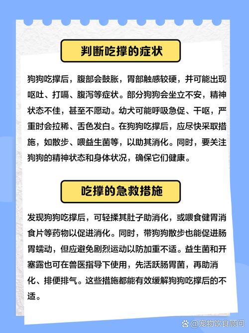 小狗吃多了怎么办