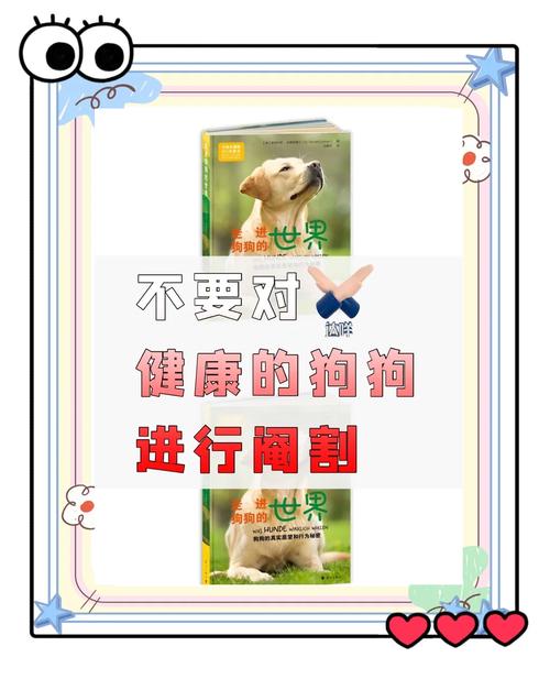 狗狗绝育有哪些利弊?还在考虑要不要给狗狗绝育的主人一定要看下。_百度...