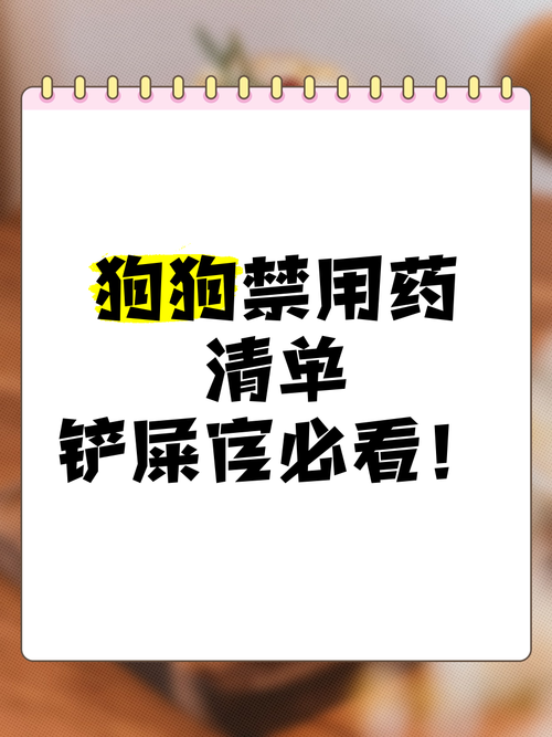 狗狗不让擦药怎么办?