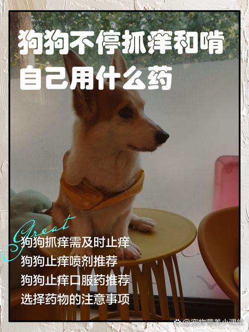 狗狗耳螨不配合涂药怎么办