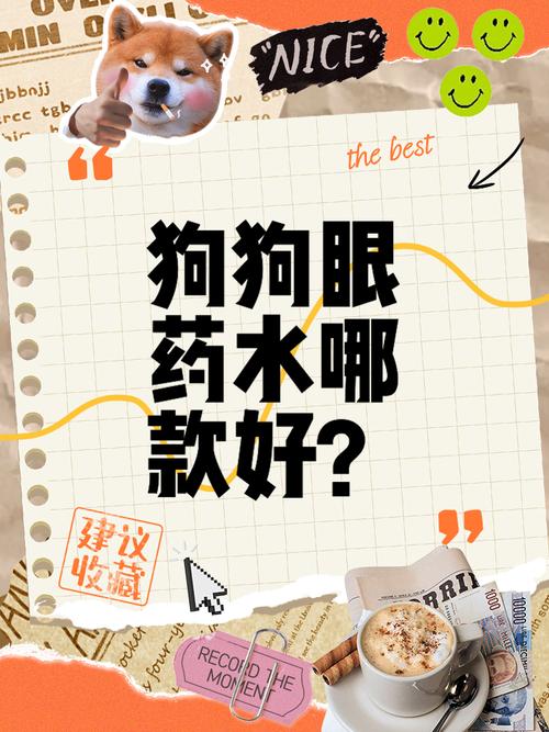怎么帮狗狗上眼药