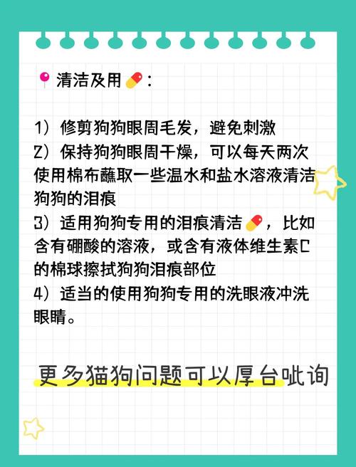 怎样才能让我家小狗不抗拒上药,求高人指点。