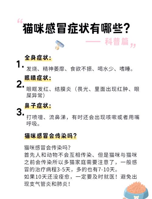 怎么判断猫咪是否感冒?