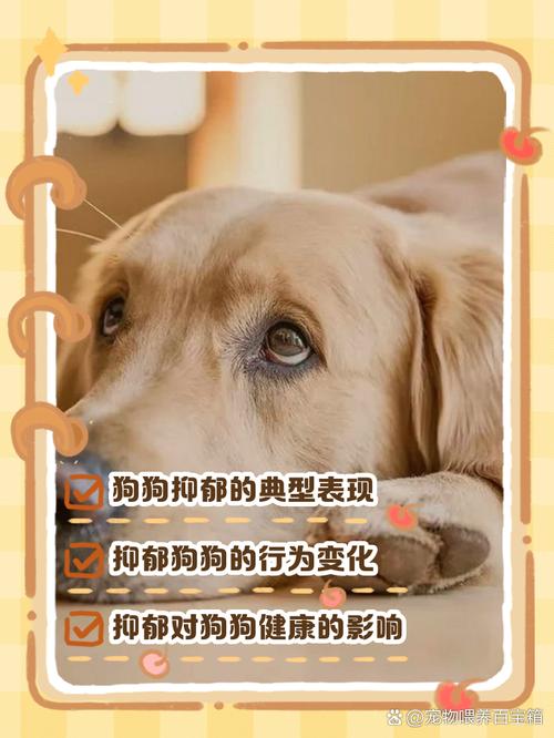 狗狗得抑郁症了有什么症状