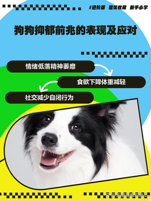 狗狗抑郁症的10个前兆