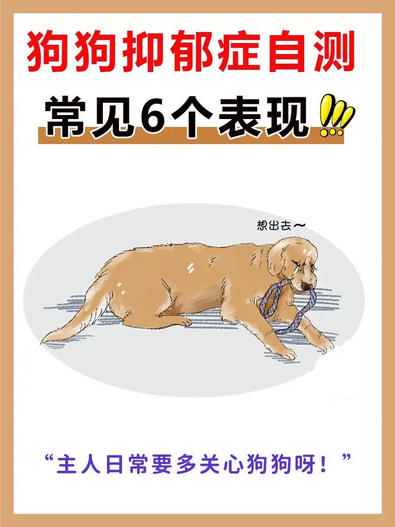 怎么判断狗狗是否抑郁了