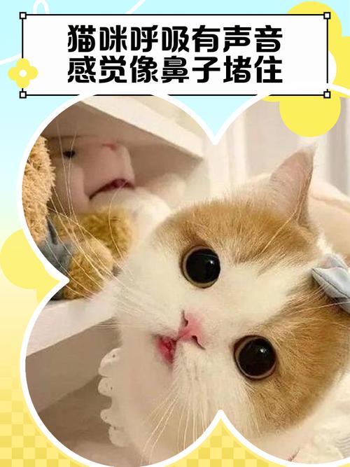 猫咪呼吸的声音像鼻塞