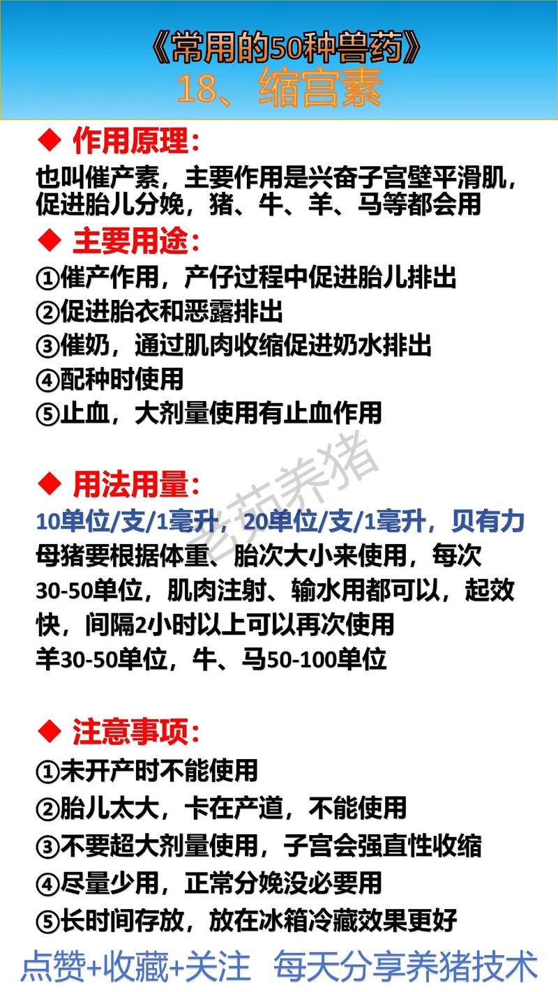 让狗排出死胎的药