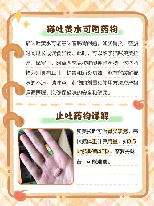 猫咪呕吐的3种必备药