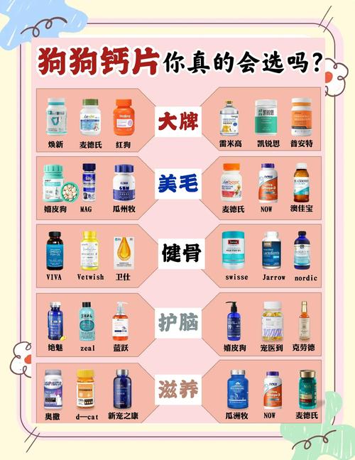 狗狗吃哪些食物能快速补钙?