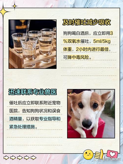 狗狗喝了白酒怎么补救